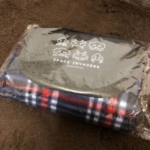 インベーダーレジャーシート
